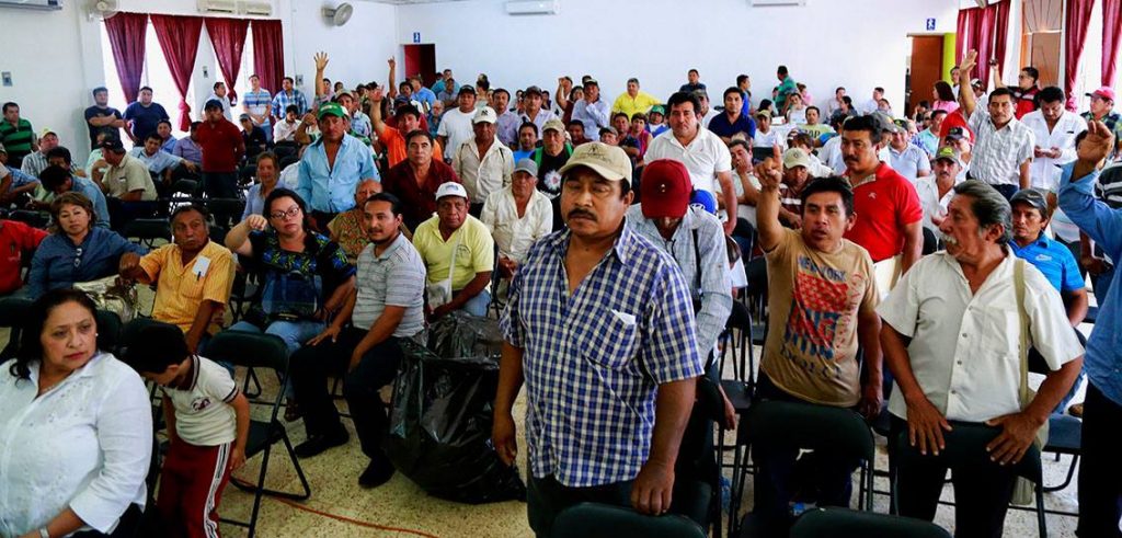 Misión de Observación de la Consulta al Pueblo Maya