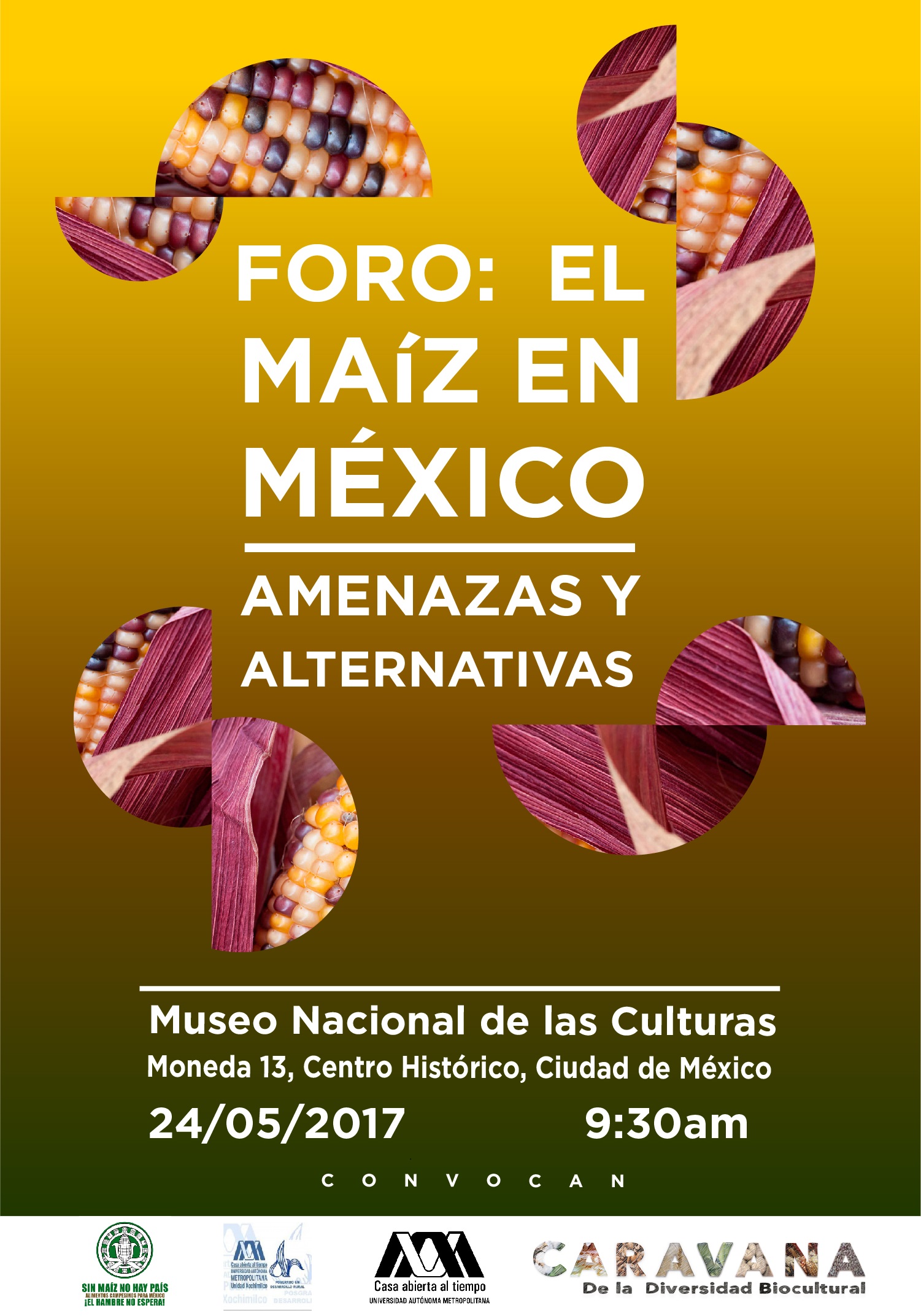 maiz en mexico