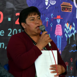 NochMesa de trabajo 1biopn2tlanixco
